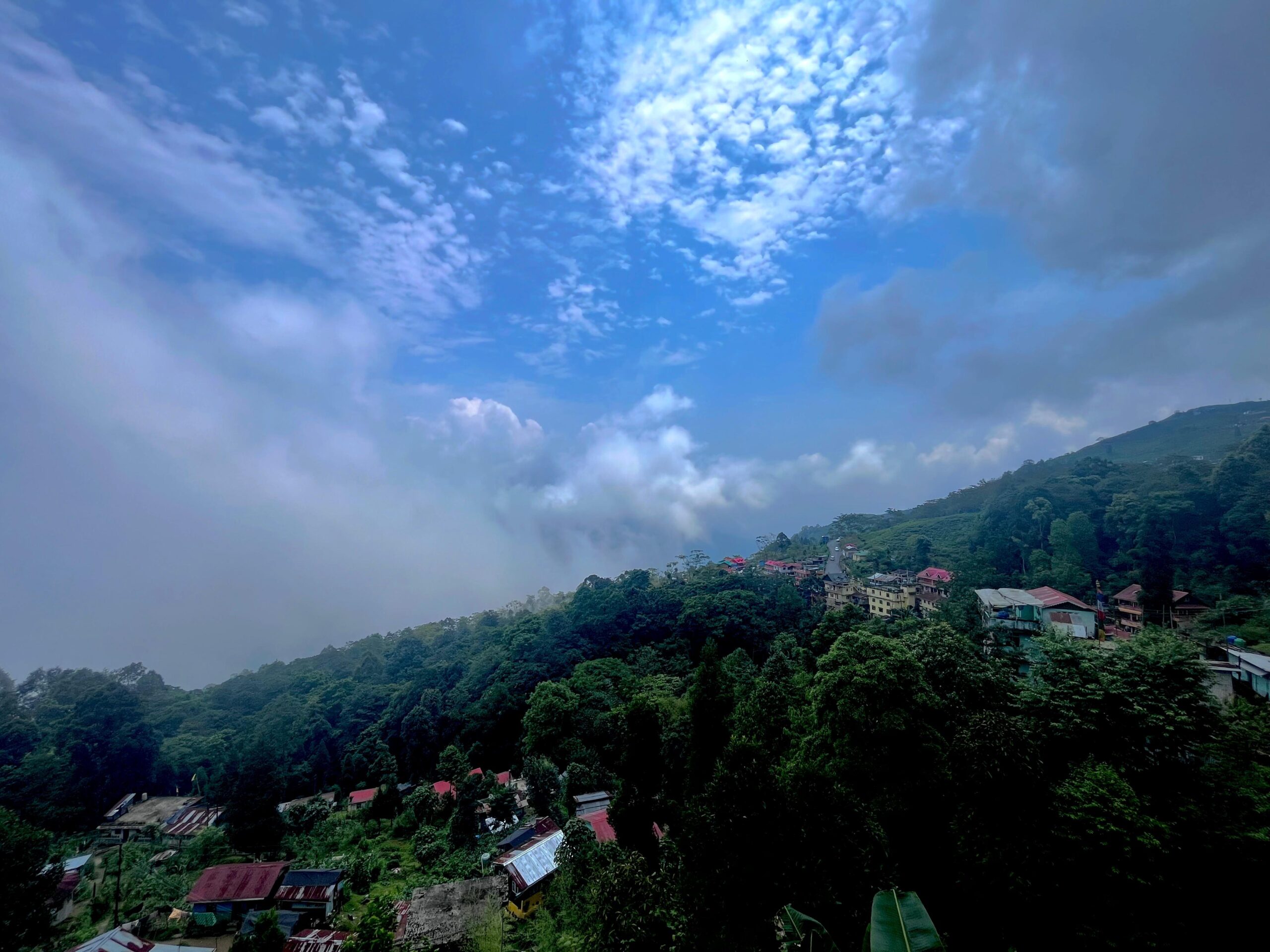 Homestay surroundings